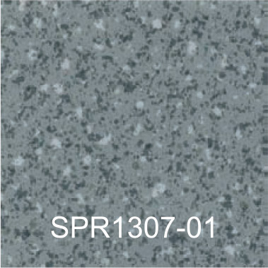 SPR1307-01