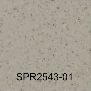 SPR2543-01
