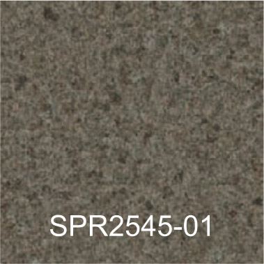 SPR2545-01
