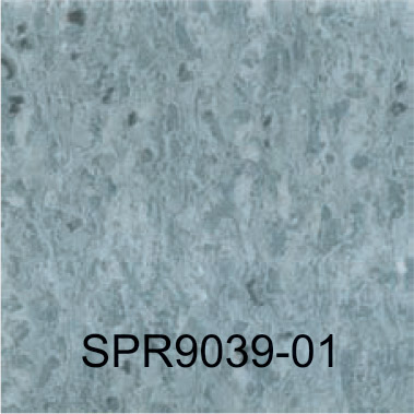 SPR9039-01