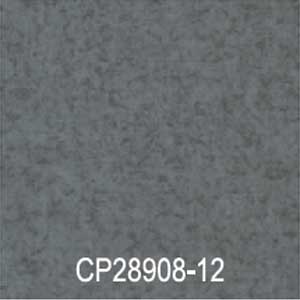 CP28908-12