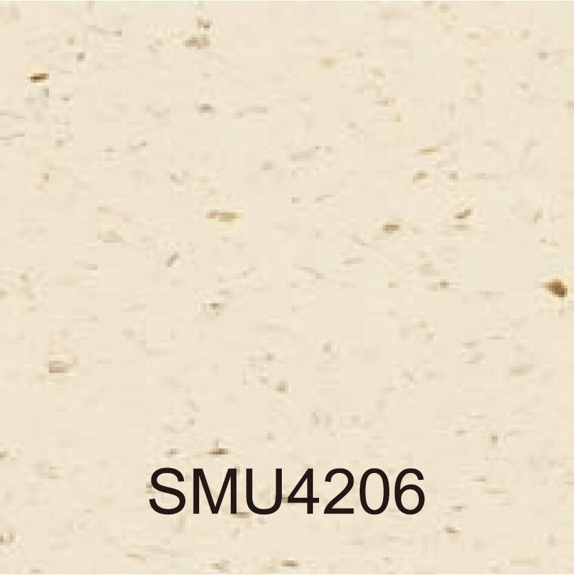 SMU4206