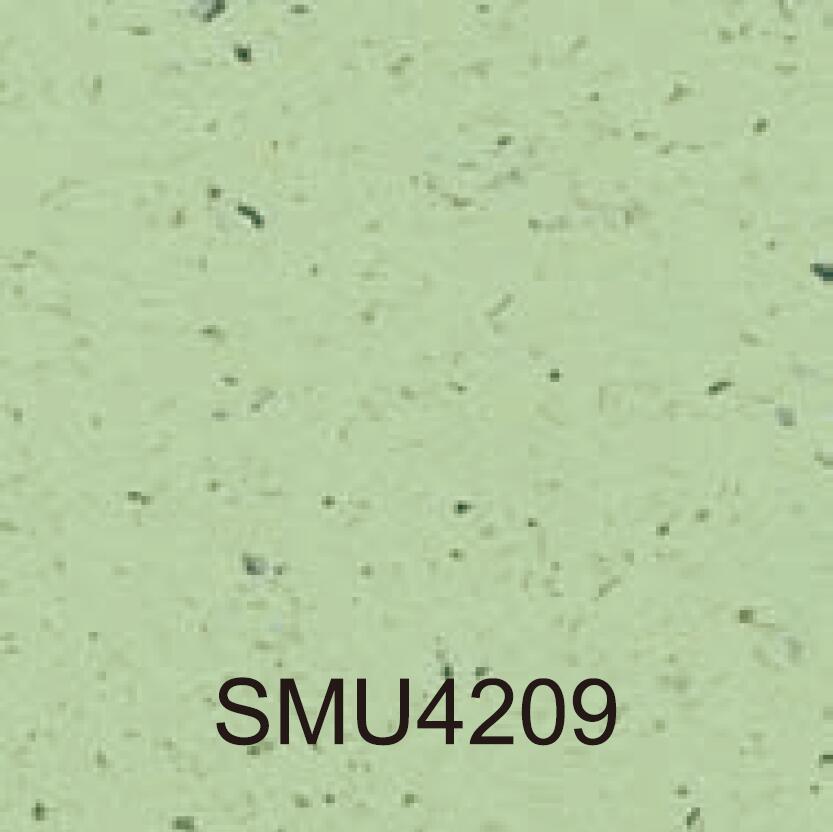 SMU4209