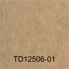 TD12506-01