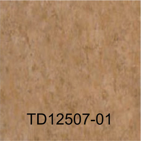 TD12507-01